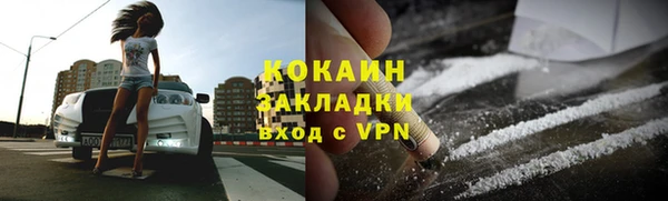 индика Кондопога