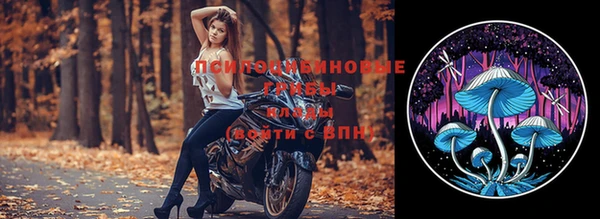 бошки Приозерск
