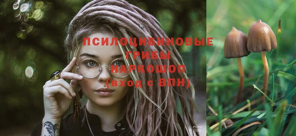 мдпв Покачи