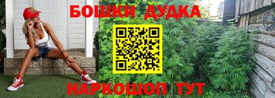 гидра Волжск