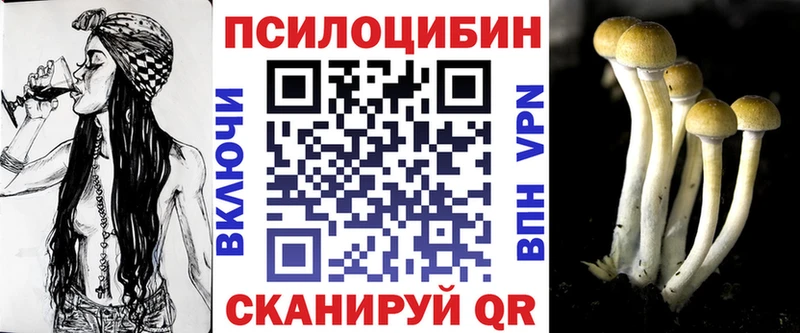 наркошоп  Котельники  Галлюциногенные грибы Cubensis 