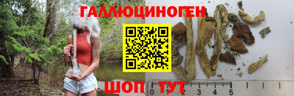 Галлюциногенные грибы MAGIC MUSHROOMS  Псилоцибиновые грибы GOLDEN TEACHER  Котельники 